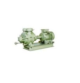 Single Stage Water Ring Vacuum Pump Manufacturer in Delhi